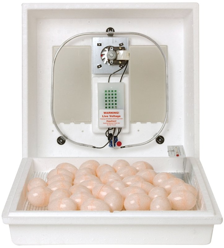 INCUBATOR EGG AIR CIRCULATED  