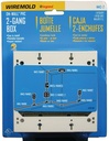 IVORY 2GANG SWITCH/OUTLET BOX 