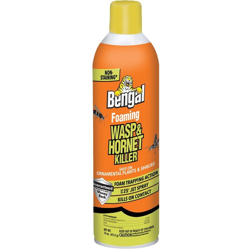 KILLER FOAM WASP/HORNET 16OZ  