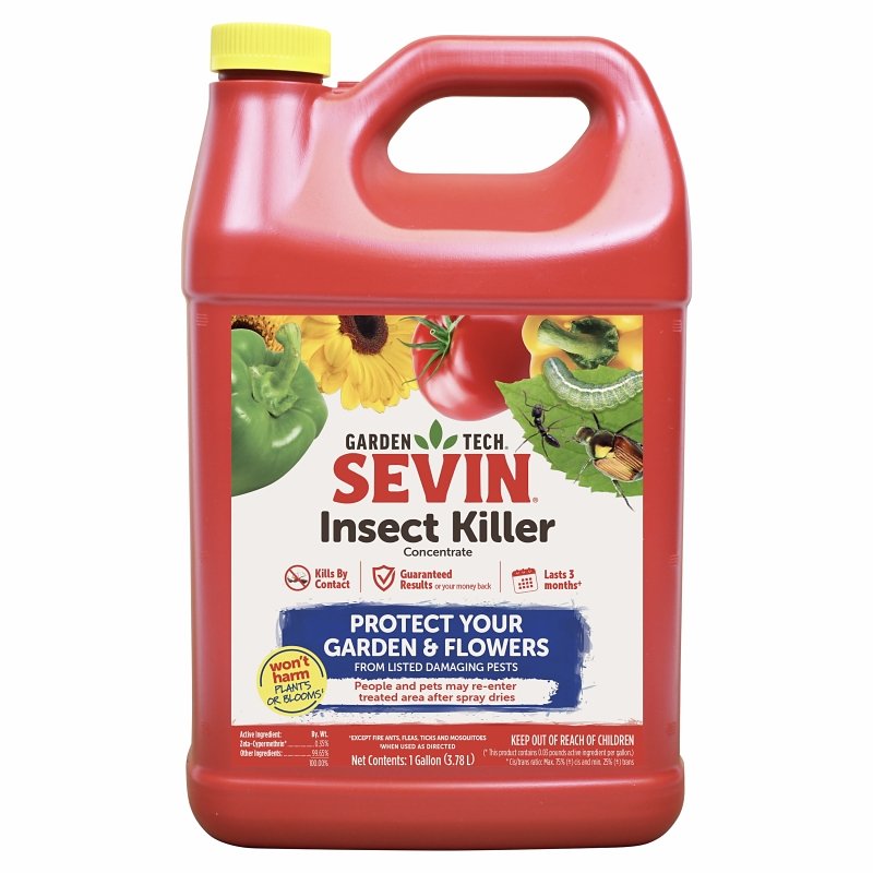 KILLER INSECT CONCENTRATE GAL 