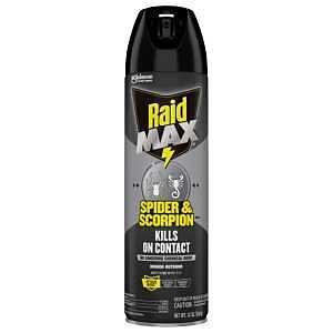 KILLER SPIDER/SCORPION RAID   