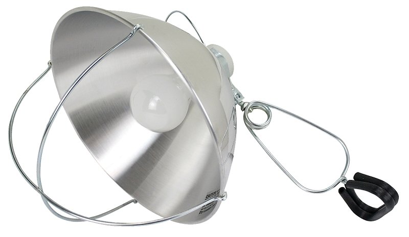 LAMP BROODER 10IN 250W        