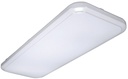 LIGHT LED DIM FLSH 4X1.5FT 75W