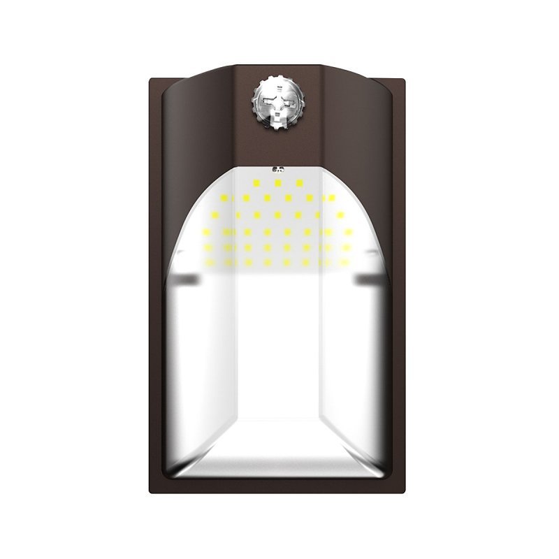 LIGHT WP LED D2D SCCT BRZ 100W