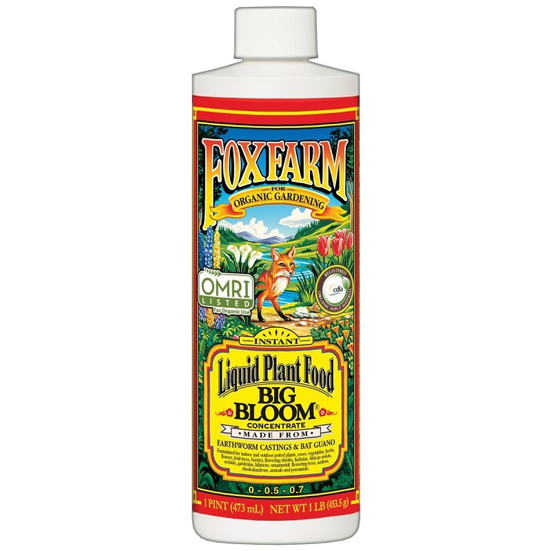 LIQUID PLANT FOOD CNCNTRT PINT