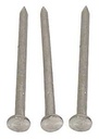 NAIL CMMN BRT 8D 2-1/2IN 50LB 