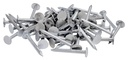 NAIL ROOFING HDG 1 IN 50LB    