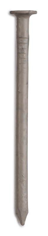 NAIL TRIM 304SS CLAY 1-1/4IN  