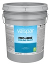 PAINT CEILING WHITE PAIL      