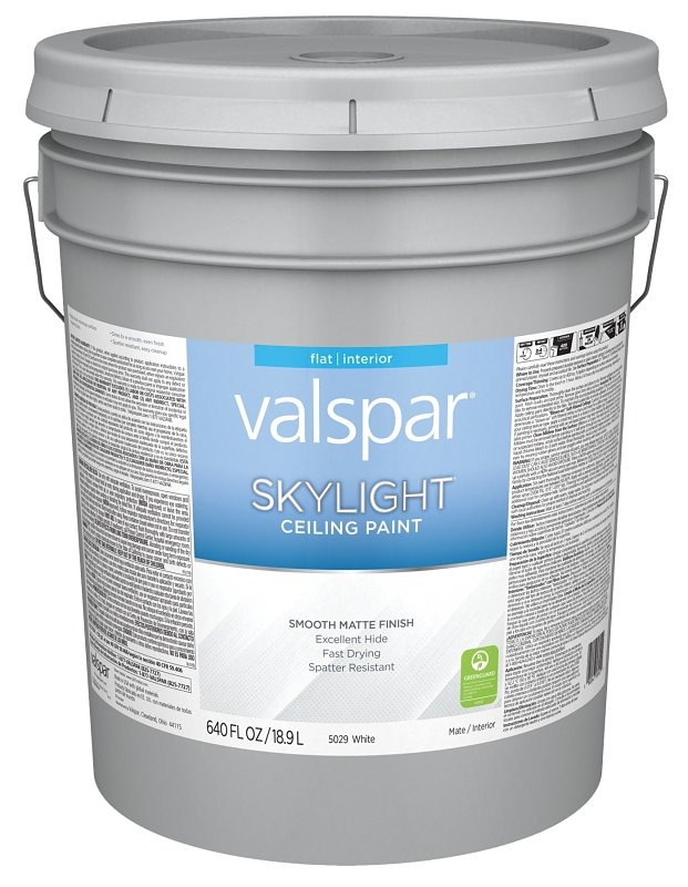 PAINT CEILING WHITE PAIL      