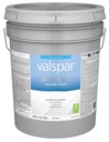 PAINT CEILING WHITE PAIL      