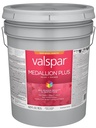 PAINT&PRIMER EXTER SG TB PAIL 