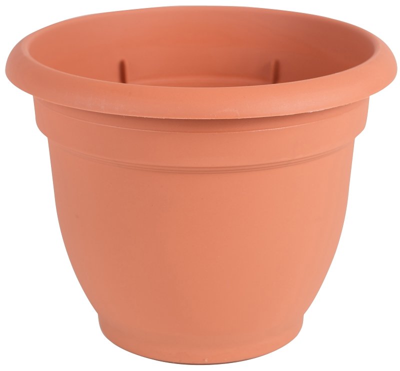 [4692851] PLANTER TERRA COTTA 6IN       