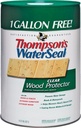 PROTECTOR WOOD EXT CLR VOC 6G 