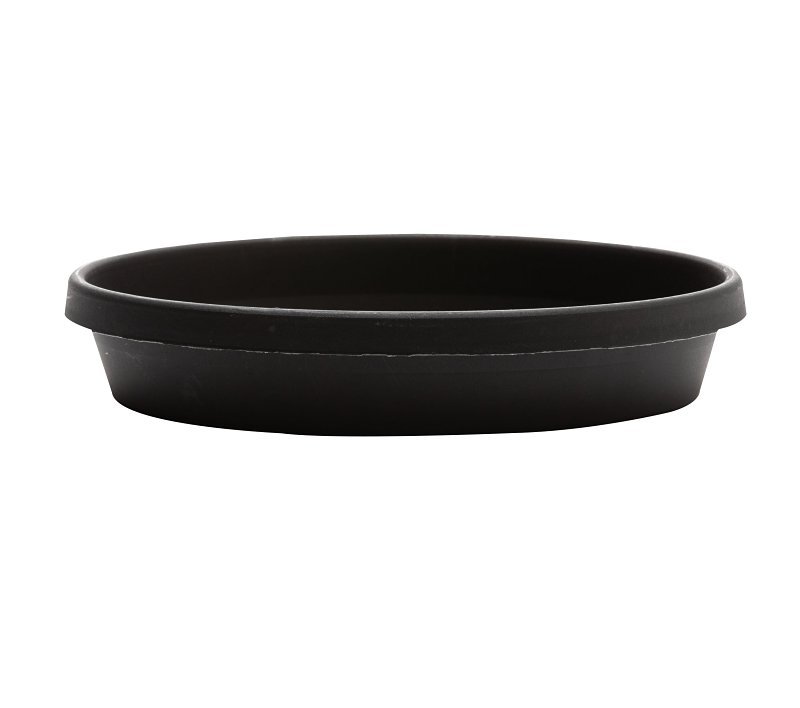 SAUCER TERRA BLACK 8IN        