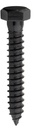 SCREW LAG BLACK 1/2 X 3IN     