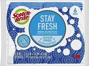 SCRUB DOTS SPONGE NON-SCRATCH 