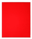 SHEET MICRO FINE 400GRT 9X11IN