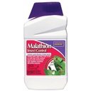SPRAY INSECT MALATHION QT     