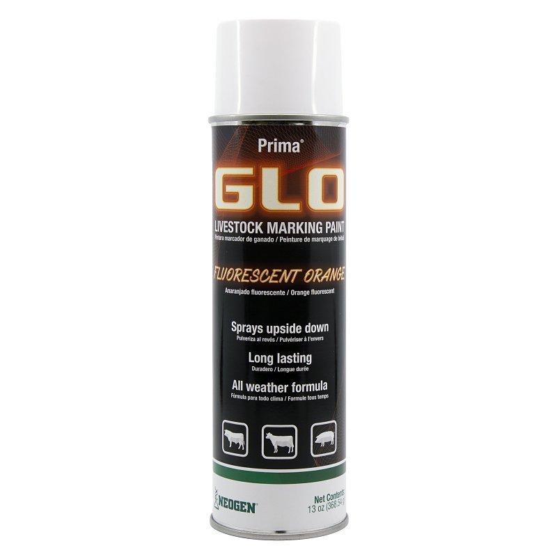 SPRAY PAINT LIVESTCK FLOU ORNG