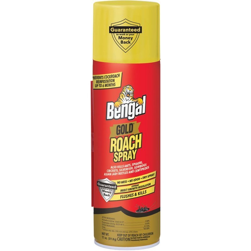 SPRAY ROACH GOLD 11OZ         