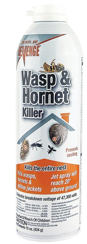 SPRAY WASP/HORNET 15OZ        