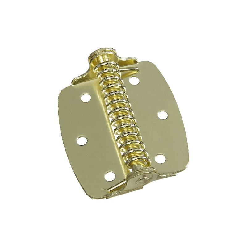 SPRING HINGE BRASS 2IN        
