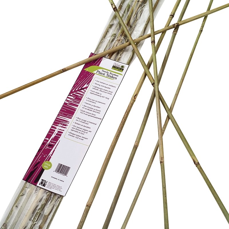 STAKE BAMBOO NATURAL 6FTBDL6  