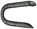STAPLE FENCE EG POULT 3/4 1LB 