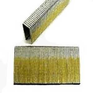 STAPLE FLOORING 1/4 X 1-1/4 18