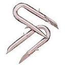 STAPLE LOCK GALV 8GA 8LB      