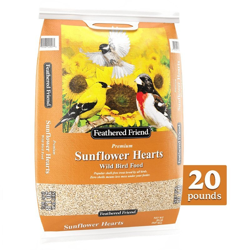 SUNFLOWER HEARTS FEATHERD 20LB