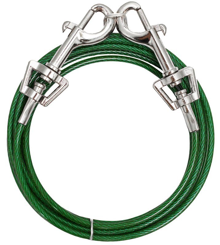 TIE OUT DOG SMALL 10 FOOT PDQ 