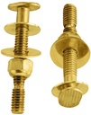 TOILET BOLT SET 5/16X2-1/4 BRS