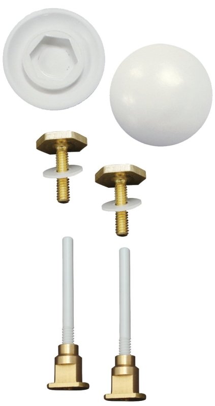 TOILET BOLTS AND CAPS         