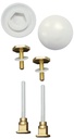 TOILET BOLTS AND CAPS         