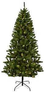 TREE FIR DOUG 4-FUNCTION 7FT  
