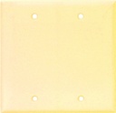WALL PLATE 2 GANG BLANK STD IV