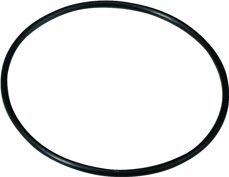 WATER FILTER HOUSING O-RNG 1IN