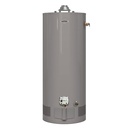 WATER HEATER N-GAS SHORT 30GAL