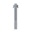 WEDGE ANCHOR ZINC 5/8X6IN     