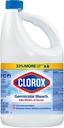 BLEACH CONC GERMICIDAL 6/81OZ 