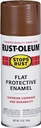 PAINT SPRAY ENML FLAT BRN 12OZ