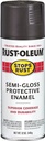 PAINT SPRAY PROT SG BLACK 12OZ