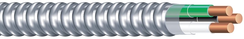 CABLE ARMORED METAL 12/2 50FT 
