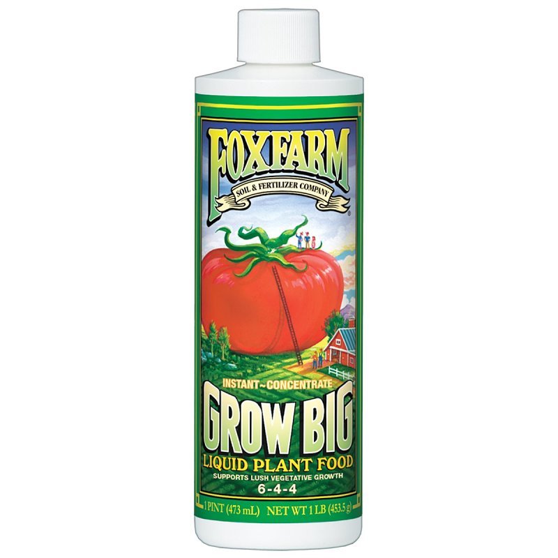 LIQUID PLANT FOOD CNCNTRT PINT