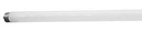 BULB FLUOR CWHT ECO 8FT T8 59W
