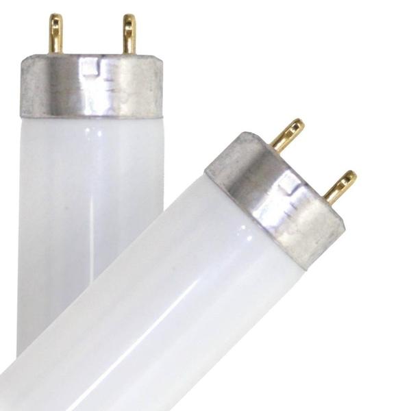BULB LT 32WT8 48IN 5000K 90CRI