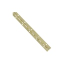 HING CONTINOUS BRS 1-1/16X12IN