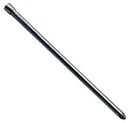 NAIL FIN BRT SMTH SHK 10D 1LB 
